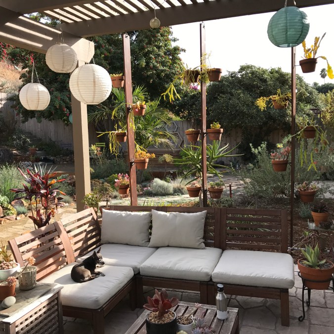 483FBE82-1191-445C-9948-603FF05B2FAD